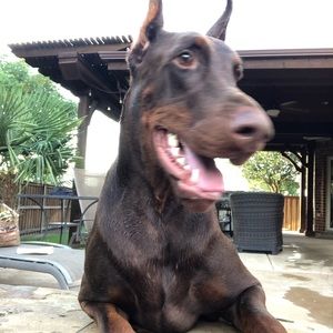 Meet your Posher, Chrease